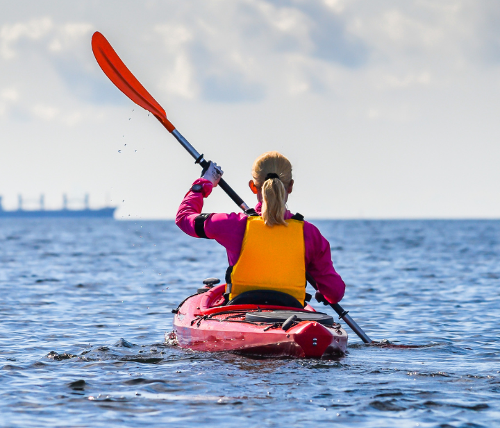 Image used under Canva Pro License